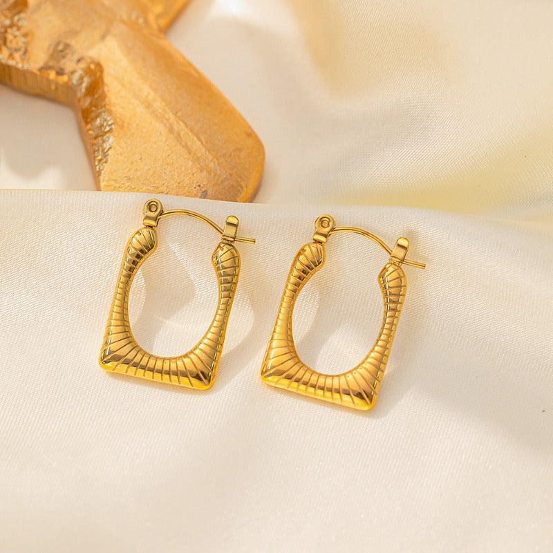 WholesaleTitanium Steel  Light Luxury Earrings ACC-ES-QiYun001