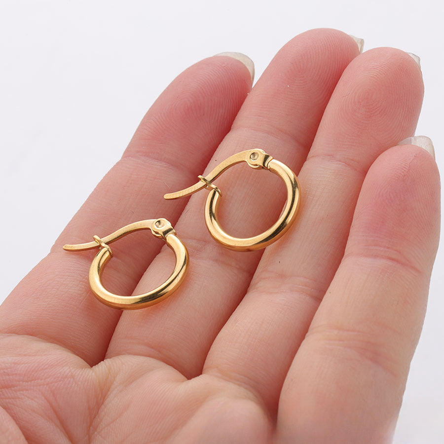Wholesale Stainless Steel Earrings Exaggerated Large Earrings Statemente Earrings ACC-ES-Chunp002