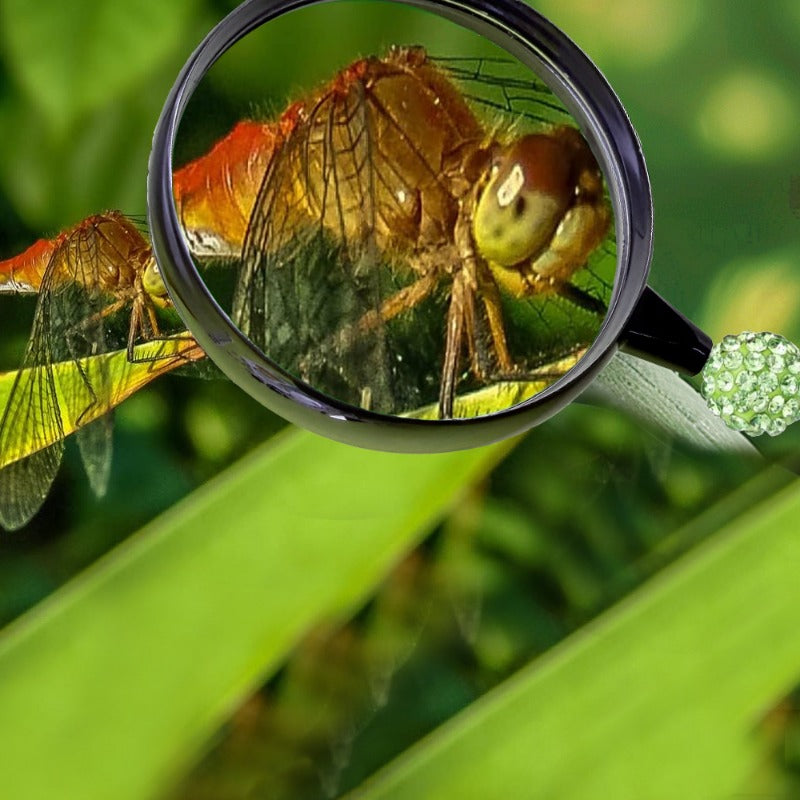 Wholesale DIY Beadable Magnifier DIY Beaded Magnifier Glass Gifts DIY Beaded Gifts ACC-MR-JinBN002