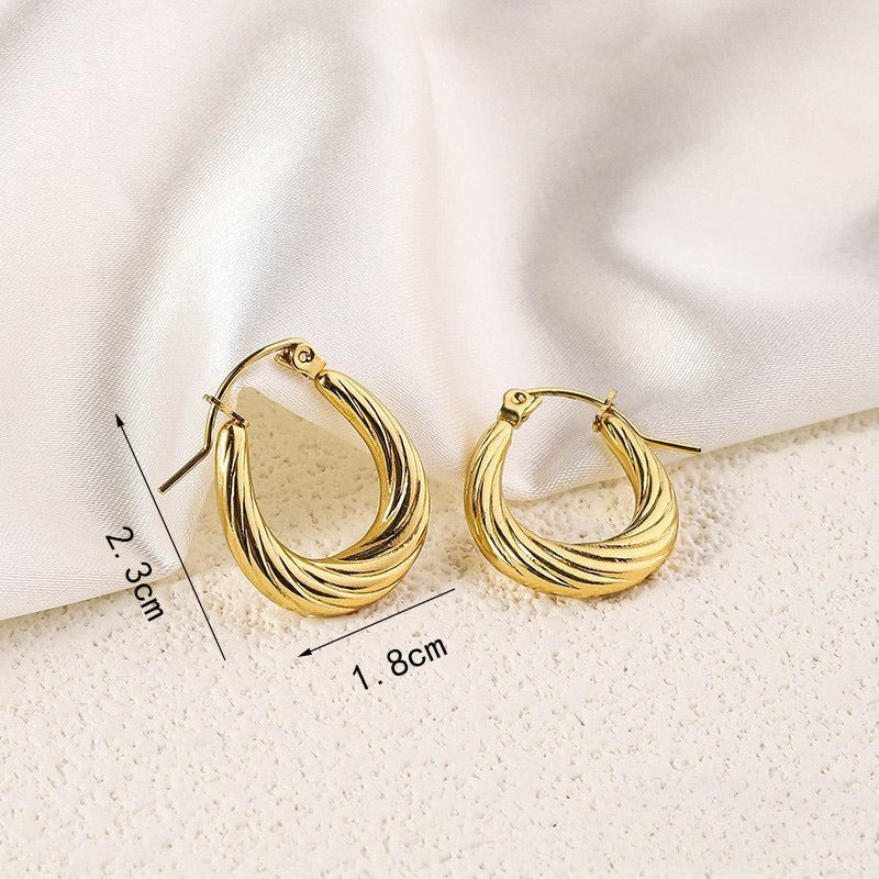 Wholesale Stainless Steel Irregular Exaggerated Earrings ACC-ES-RuiX012