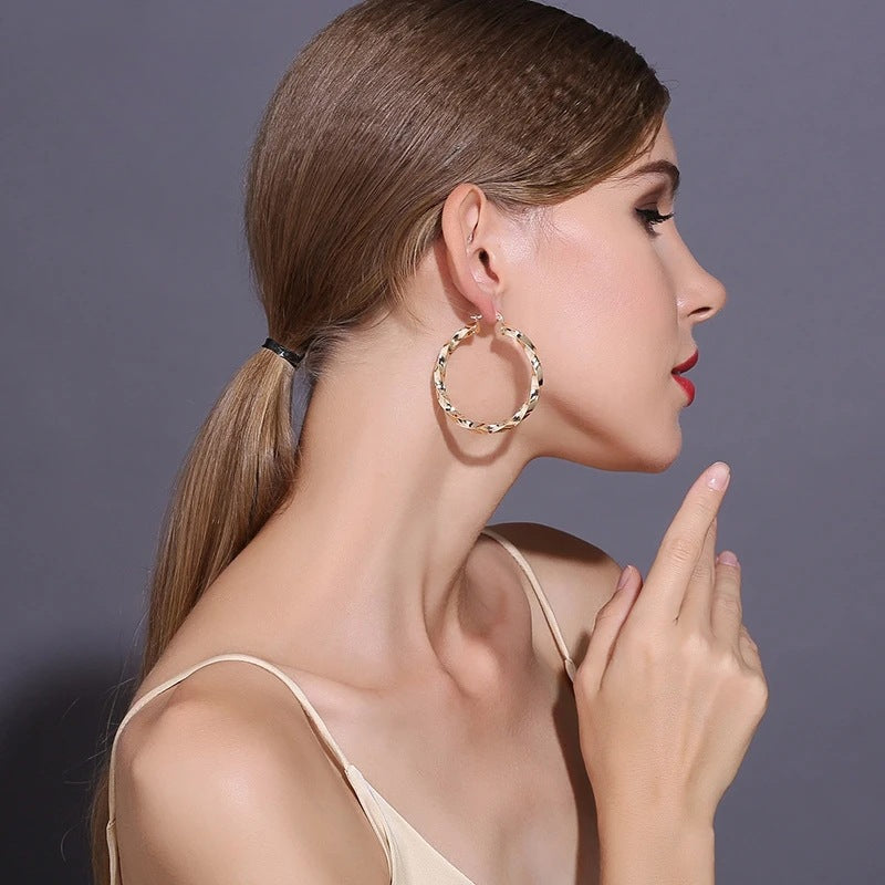 Wholesale Geometric Metal Hoop Earrings ACC-ES-MoCai011