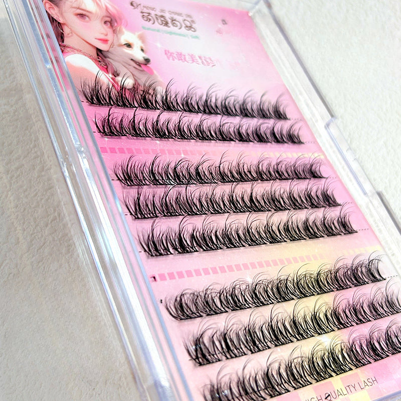 Wholesale Large Capacity 5D Mink Velvet Baby Curved Lazy Trilogy False Eyelashes ACC-FS-Rous005