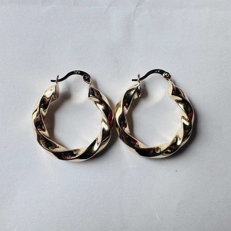 Wholesale Geometric Metal Hoop Earrings ACC-ES-MoCai011