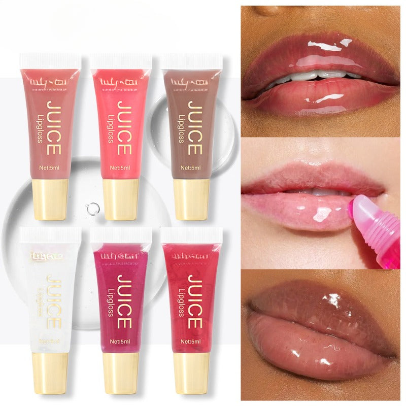 Wholesale Natural Long-lasting Moisturizing Mirror Lip Gloss ACC-LG-Meika004