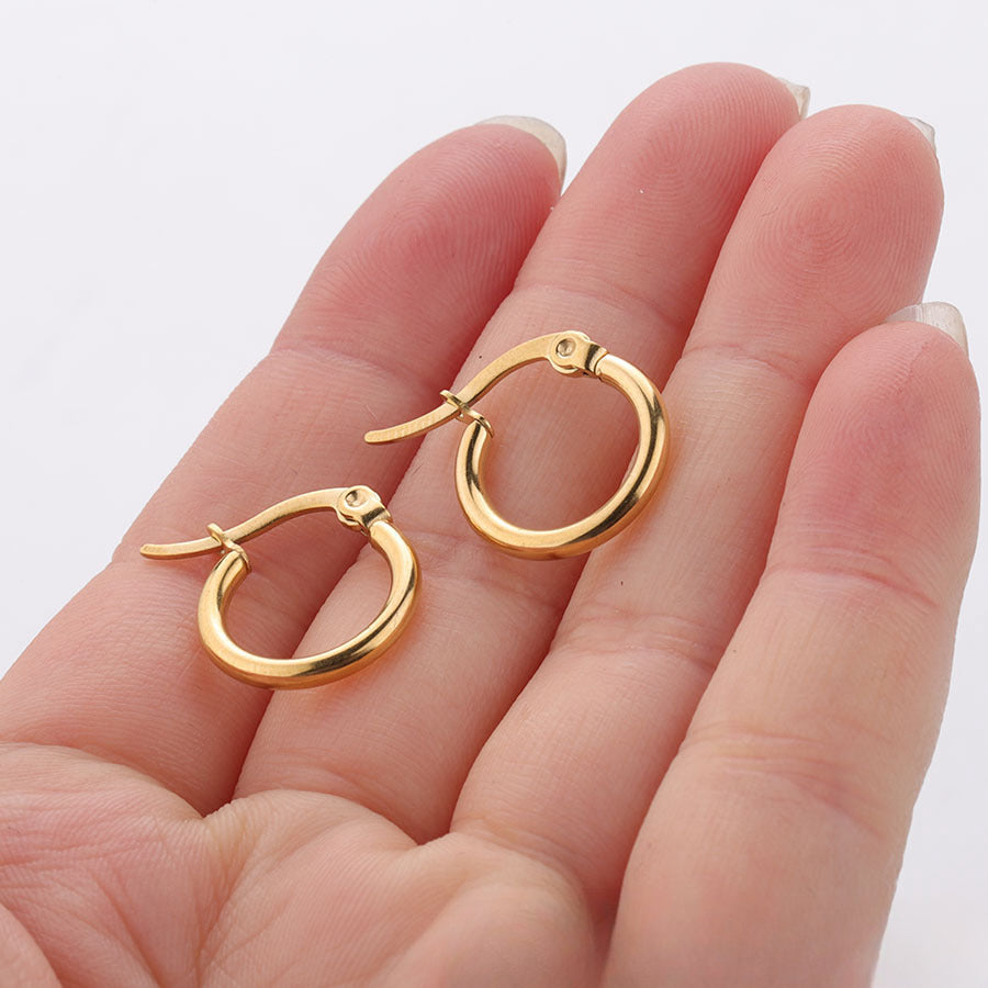 Wholesale Stainless Steel Earrings Exaggerated Large Earrings Statemente Earrings ACC-ES-Chunp002