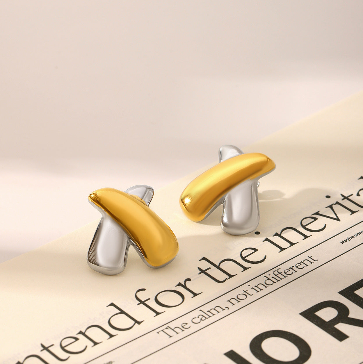 Wholesale Chubby Shape Stainless Steel Earrings Light Luxury  Earrings