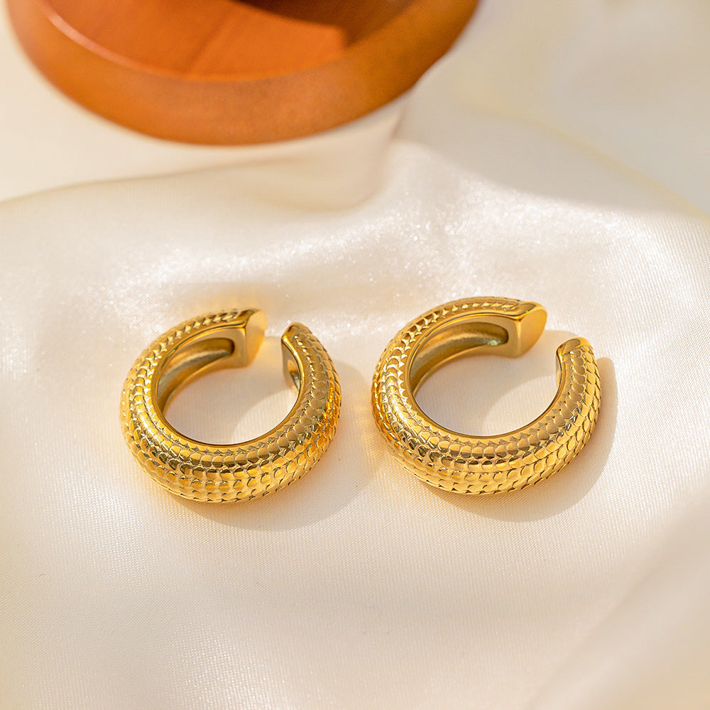 WholesaleTitanium Steel  Light Luxury Earrings ACC-ES-QiYun001