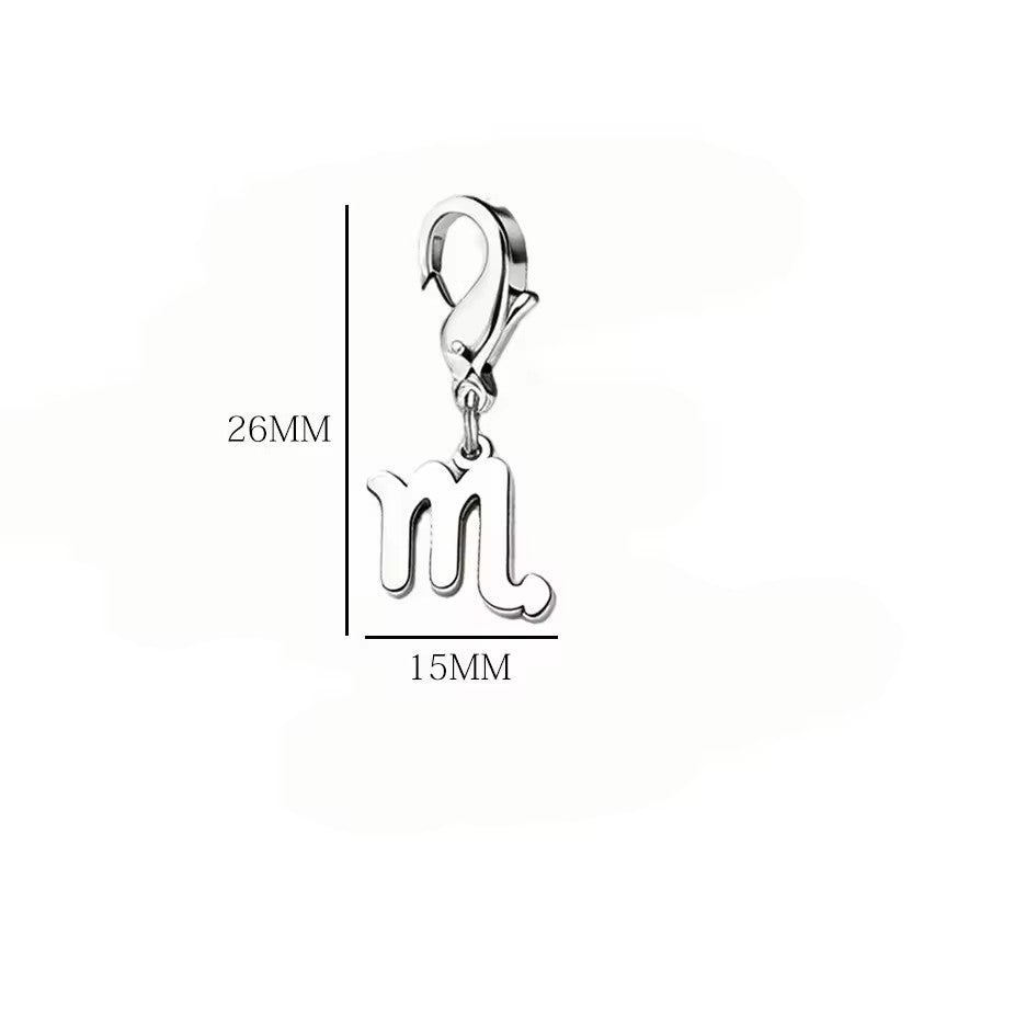 Wholesale Casual Stainless Steel Zodiac Pendant Charms with Lobster Clasp for DIY Jewelry Bracelets Necklaces,  Gift Idea