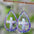 Wholesale Easter Egg Basket Hollow Water Drop Wooden Double Sided Earrings