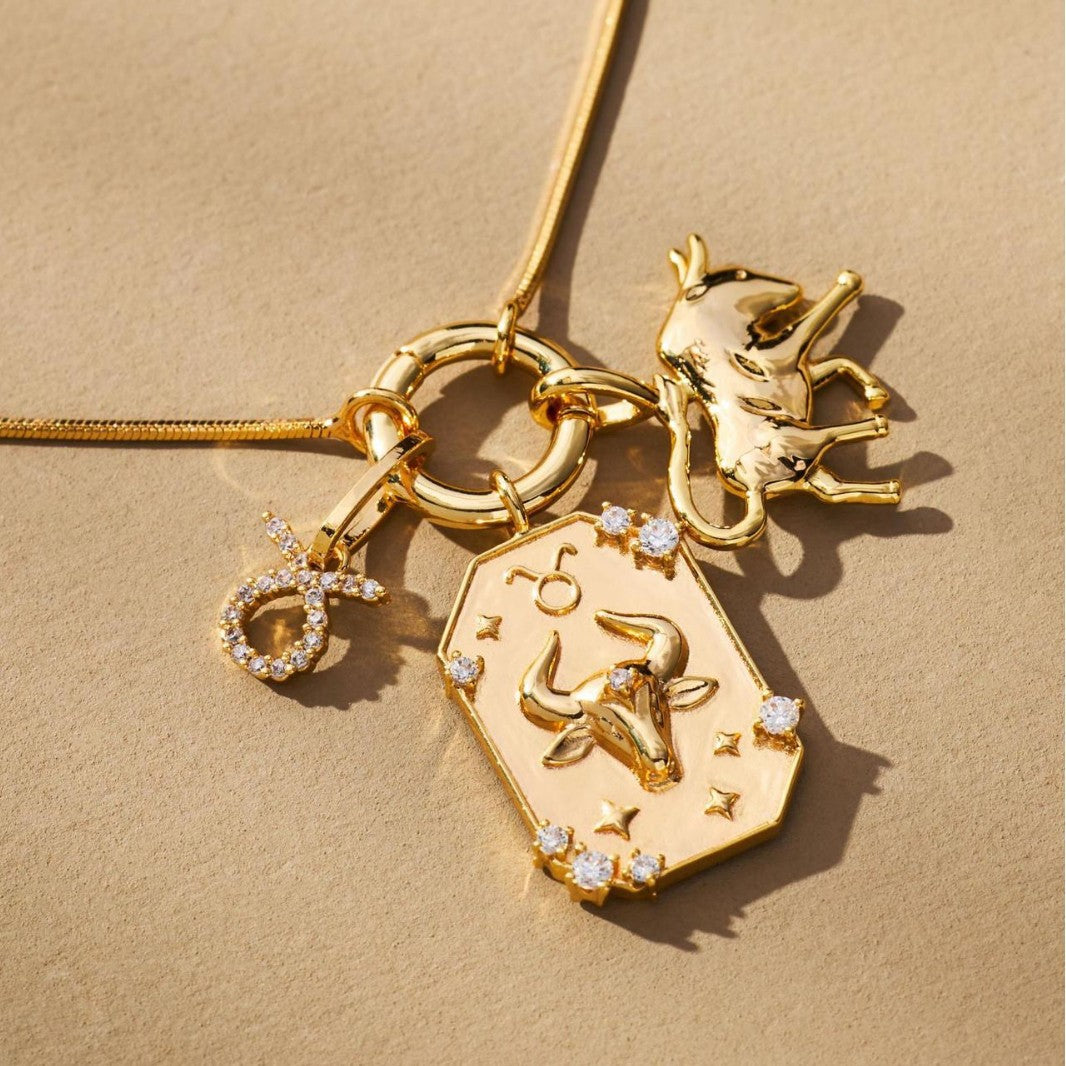 Wholesale 12 Zodiac Pendant Stainless Steel Zircon Necklace