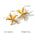 Wholesale ocean series stainless steel earrings exaggerated sea mans star earrings
