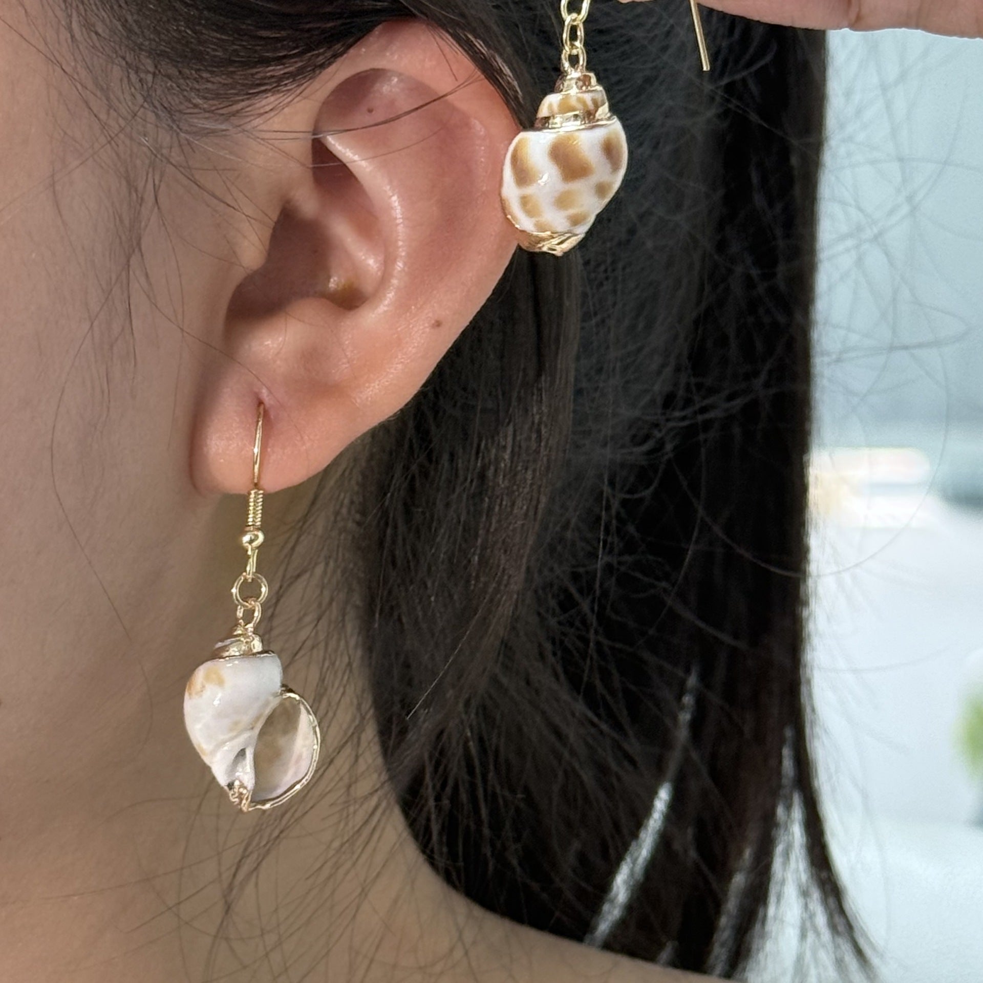Wholesale  natural shell conch earrings