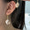 Wholesale  natural shell conch earrings