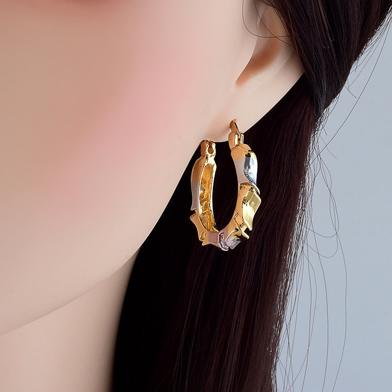 Wholesale Temperament Light Luxury Irregular Oval Earrings ACC-ES-MoCai010