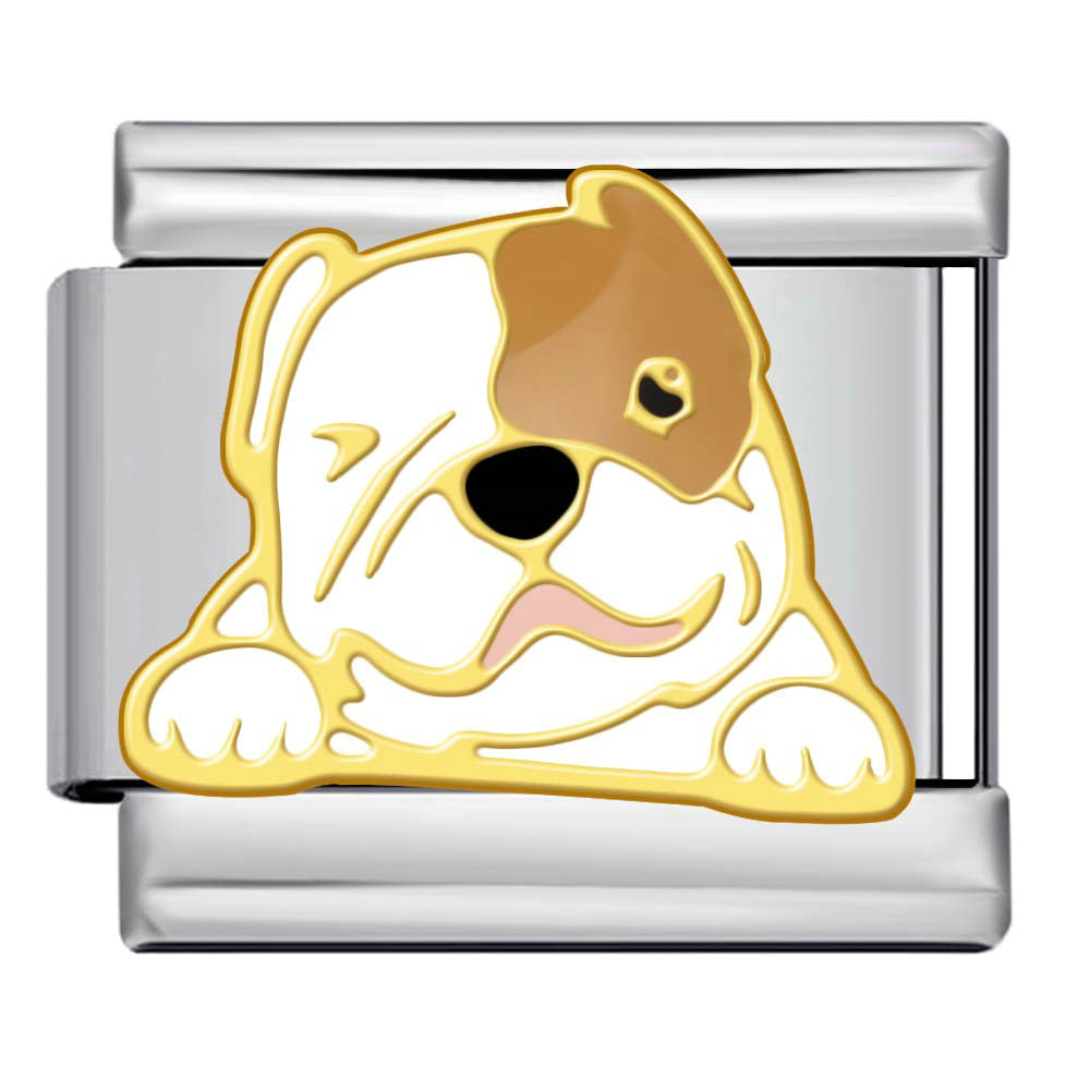 Wholesale 9mm Italian Charm Starter Bracelets DIY Cat and Dog Single Section Creative Stainless Steel Composable Bracelet