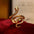 Wholesale gold-plated texture snake Adjustable rings