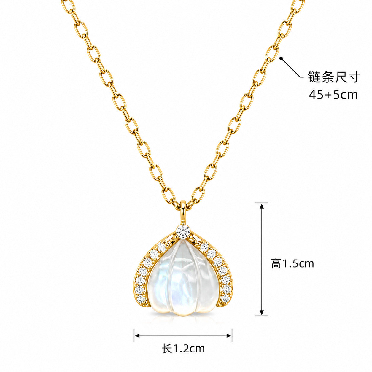 Wholesale Korean Ins Style Natural Mother-of-Pearl Collarbone Necklace Fashion Accessory Gift for Boutique Resale