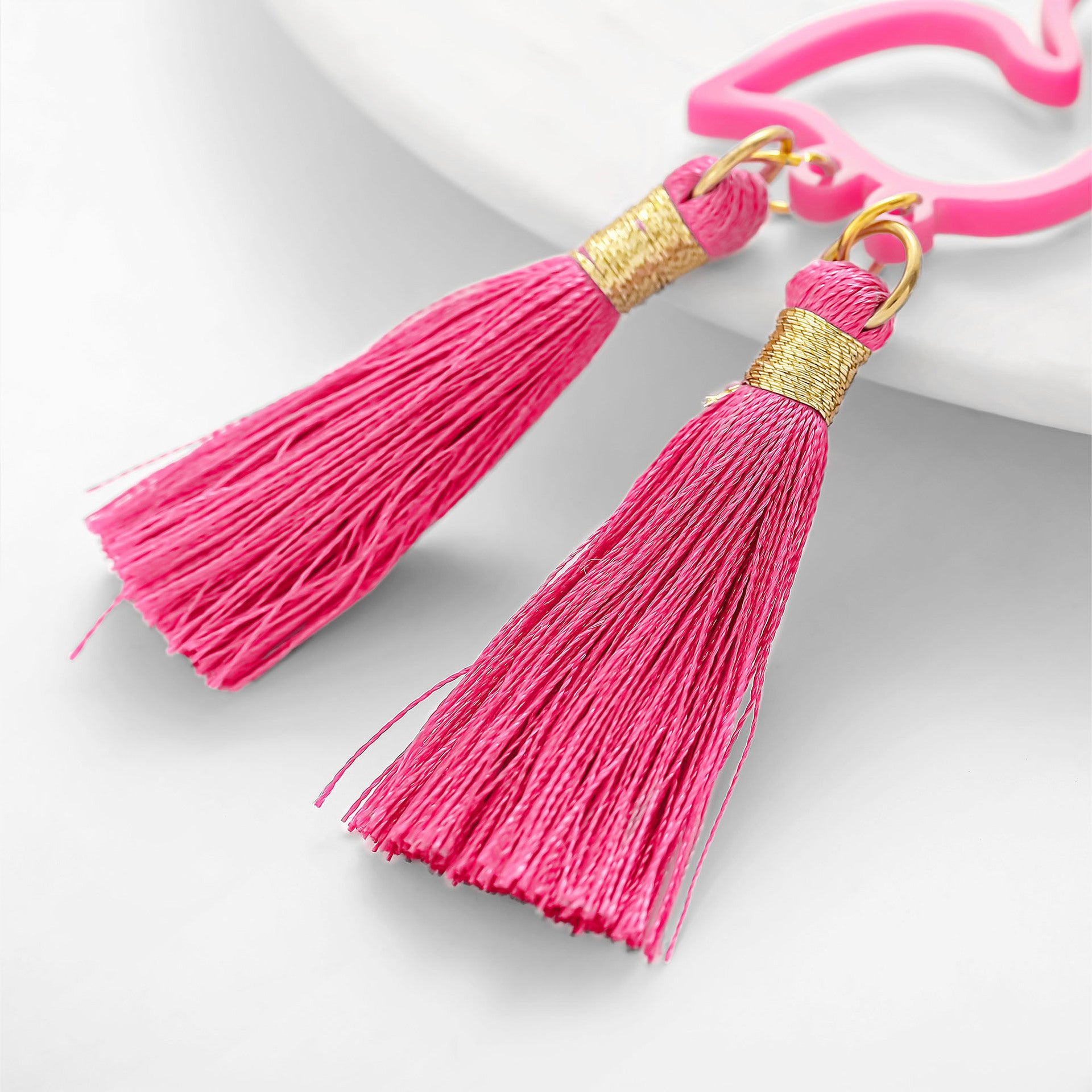 Wholesale  acrylic earrings  hollow swan tassel earrings
