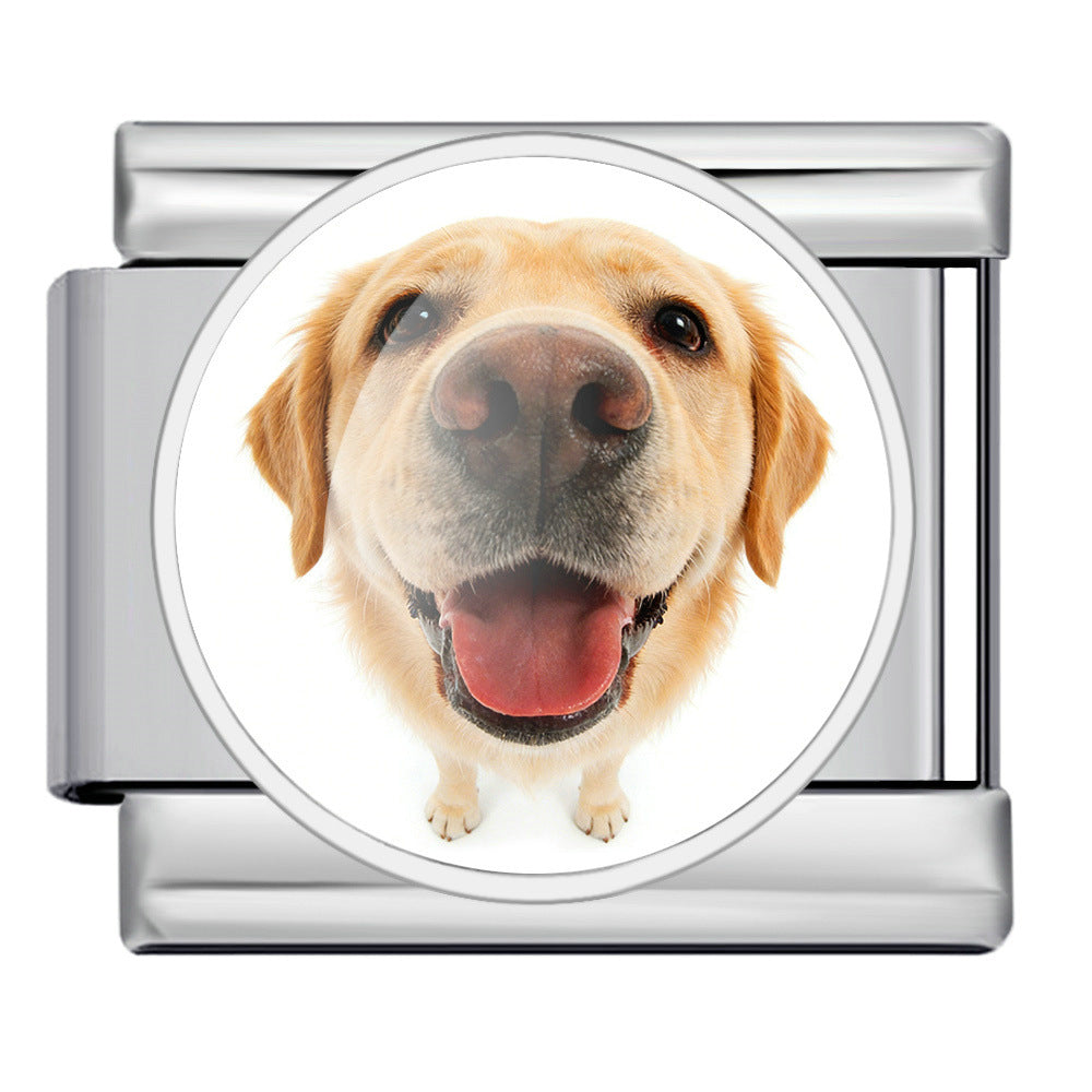 Wholesale Stylish DIY Stainless Steel Watch Band with Cute Dog Print,  Fashion Accessory for Resale