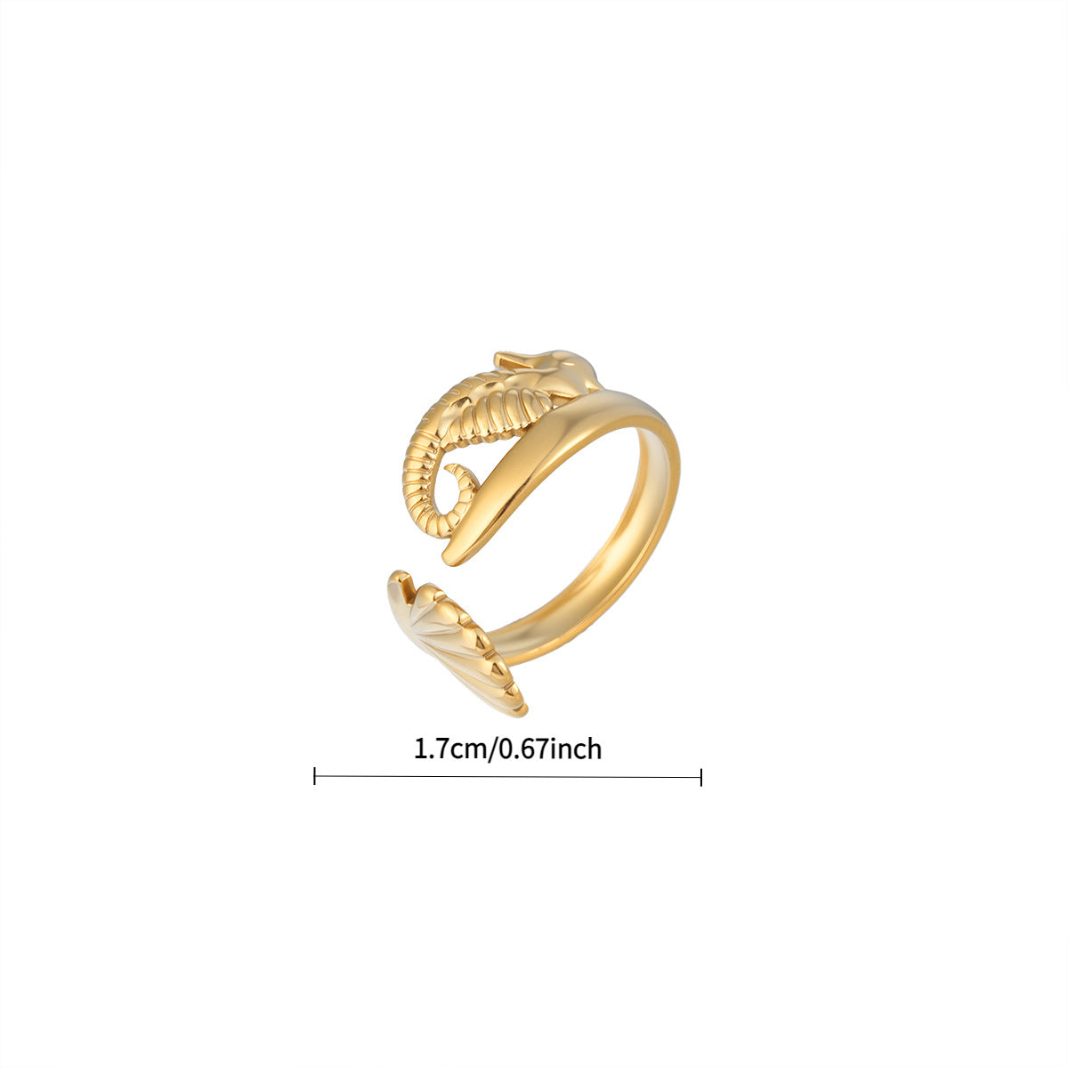 dxx-img:48e0ccb542164c68f79844ee8cdda9b6,ACC-RS-6098786945660-M1
