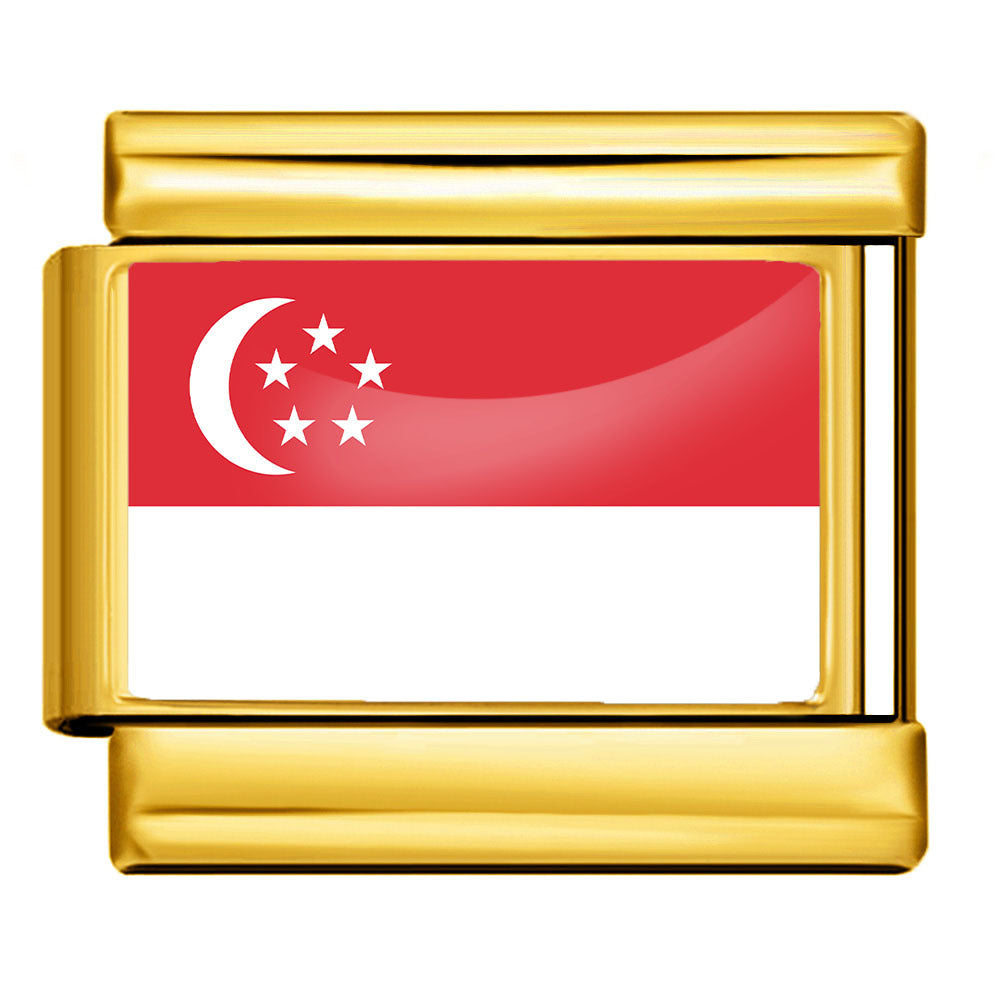 Wholesale Golden World Flag Photo Epoxy Italian Module Bracelet DIY Stainless Steel Elastic Strap Chain Bracelet