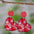 Wholesale  Mother's Day MOM Flower Love Round Pieces Stitching Pendant Earrings