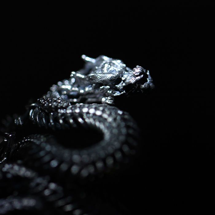 Wholesale  dragon skeleton snake ring