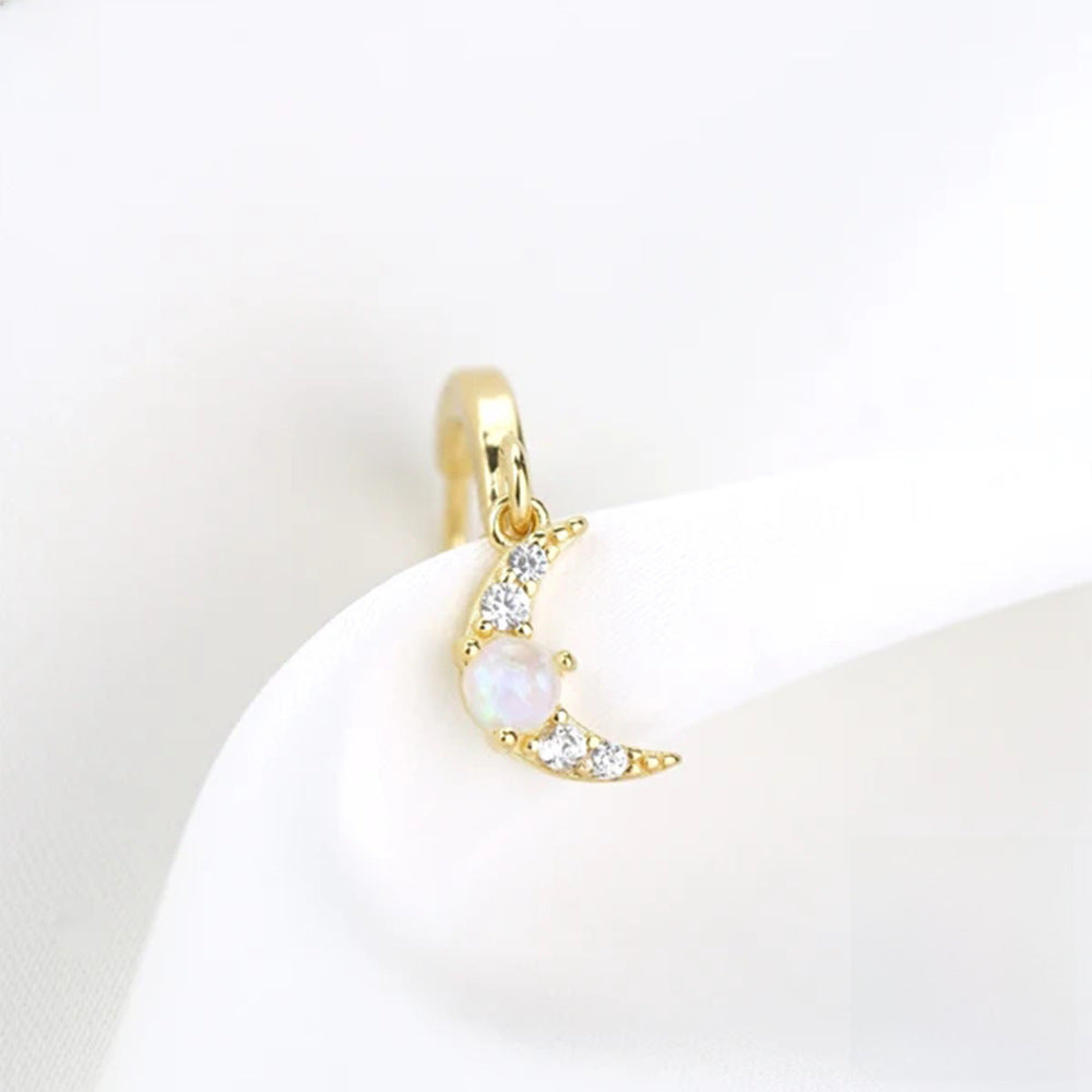 Wholesale 925 Sterling Silver Star Earrings  Luxury Earrings