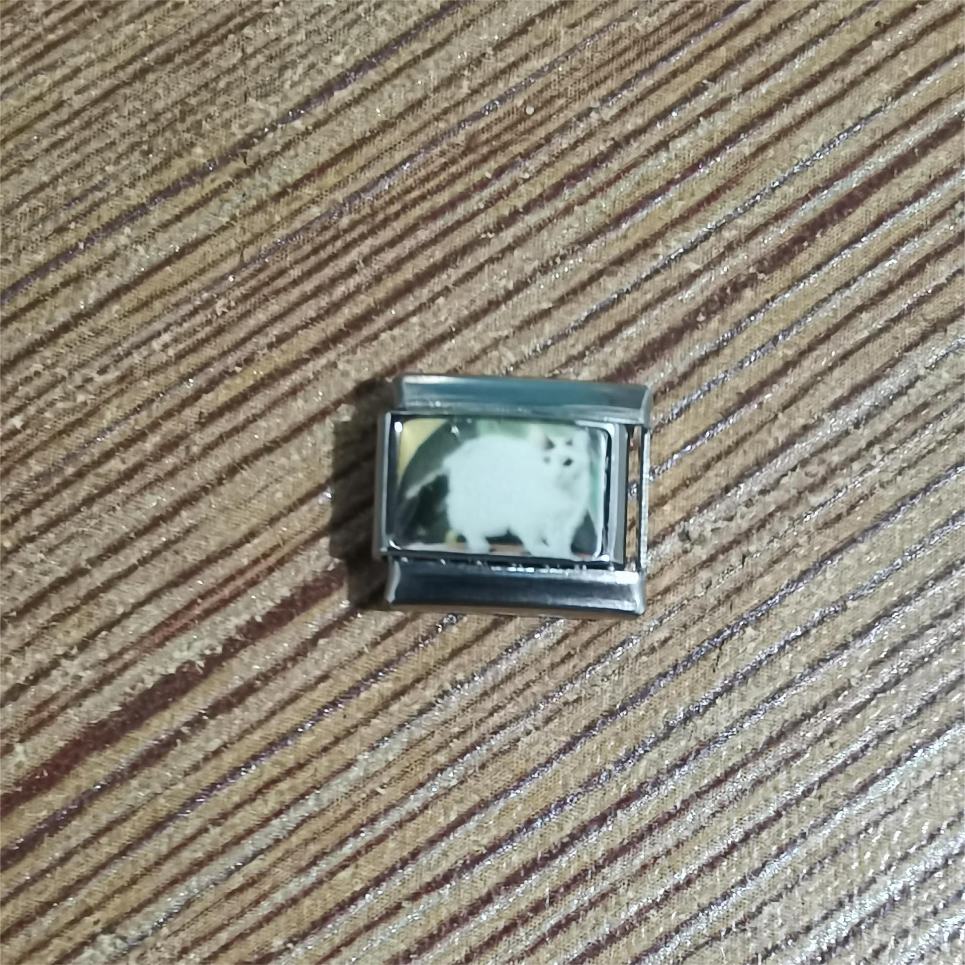 Wholesale 10pcs Italian Charm Bracelet 9mm DIY Spliced Removable Stainless Steel Cartoon Cat Composable Bracelet ACC-BT-XY026