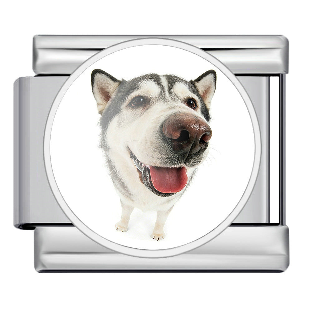 Wholesale Stylish DIY Stainless Steel Watch Band with Cute Dog Print,  Fashion Accessory for Resale