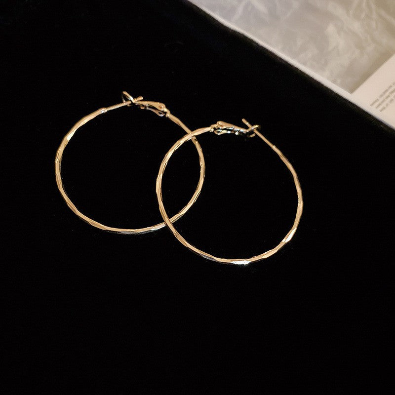 Wholesale 925 Silver Needle Earrings Exaggerated Earrings Statemente Earrings ACC-ES-Huiih003