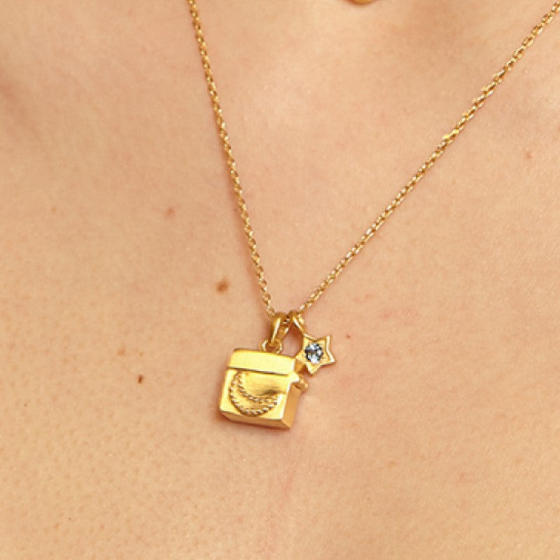 Wholesale Butterfly Shell Necklace Retro Openable and Closable Gold Plated Necklace ACC-NE-Jipei008