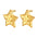 Wholesale  five-pointed star stainless steel earrings