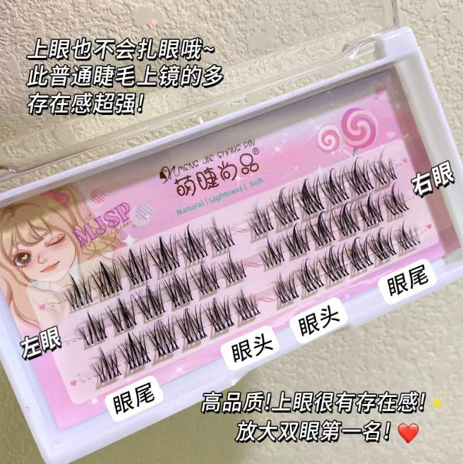 Wholesale 120 Sunflower Eyelashes Black Stem 10 Rows Large Capacity False Eyelashes ACC-FS-Rous004