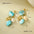 Wholesale shell clavicle chain starfish coral suit necklace earrings bracelet