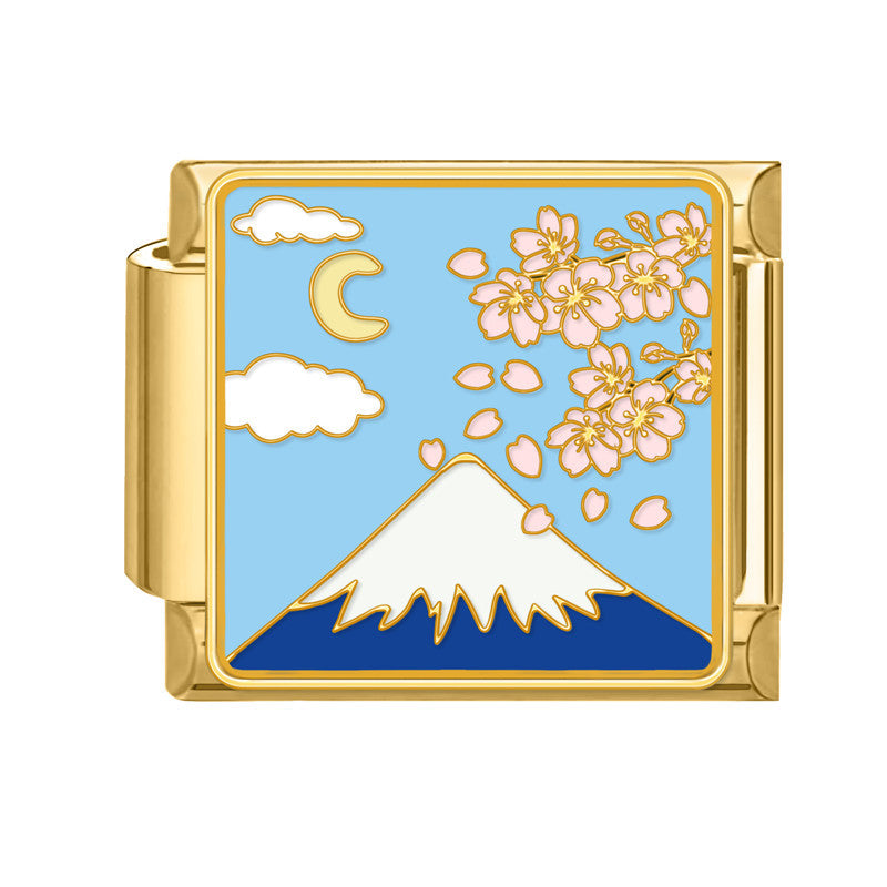 Wholesale 9mm Italian Charm Starter Bracelets DIY Flower Series Stainless Steel Composable Bracelet