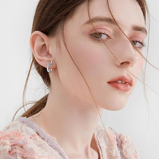 Wholesale Retro Alloy Snake-Shaped Detachable Earrings