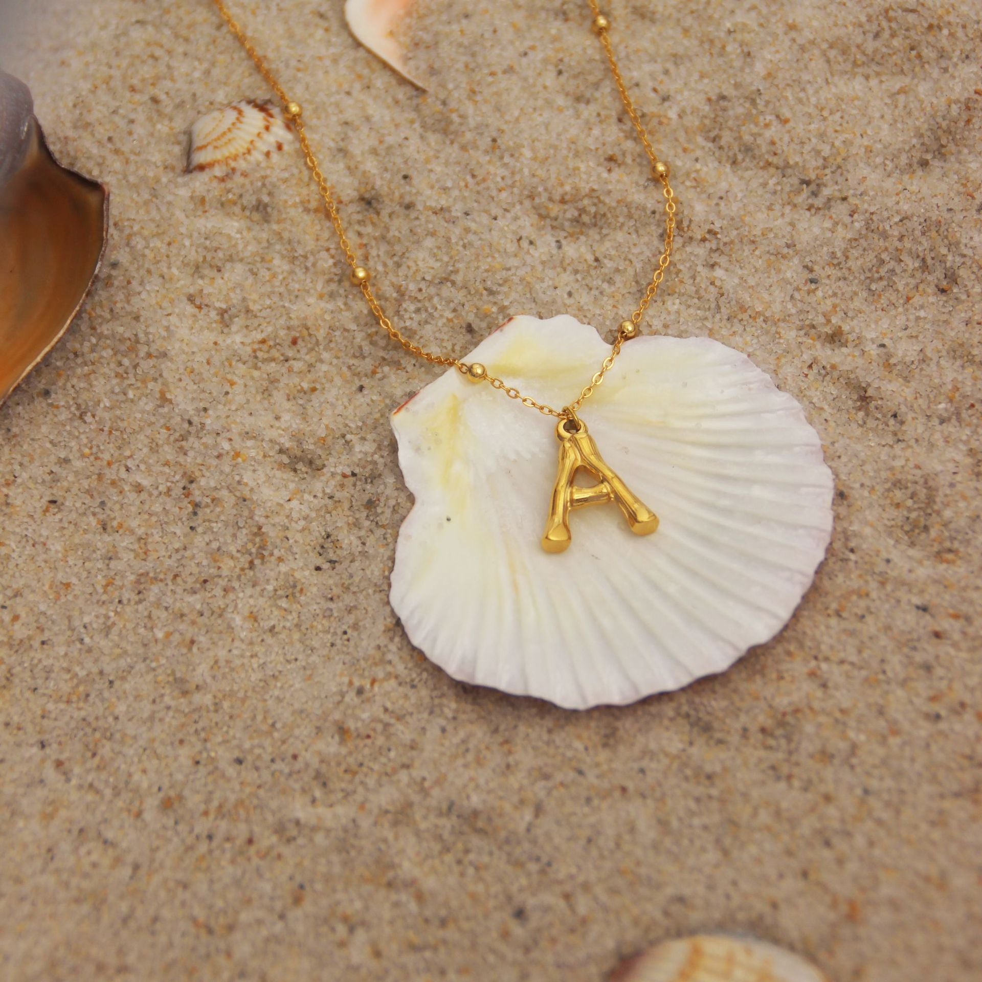 Wholesale Ocean Series Necklace 18k Gold Plated Necklace Conch Starfish Necklace Titanium Steel Necklace ACC-NE-Minx001