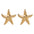 Wholesale Metal Starfish Earrings