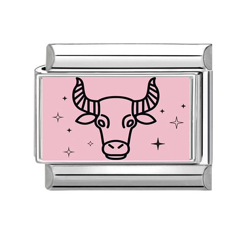 Wholesale 9mm Italian Charm Starter Bracelets DIY Twelve Contion Series Stainless Steel Composable Bracelet