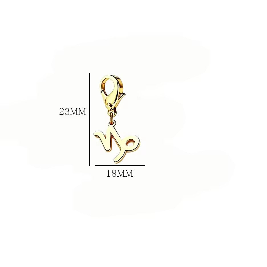Wholesale Casual Stainless Steel Zodiac Pendant Charms with Lobster Clasp for DIY Jewelry Bracelets Necklaces,  Gift Idea