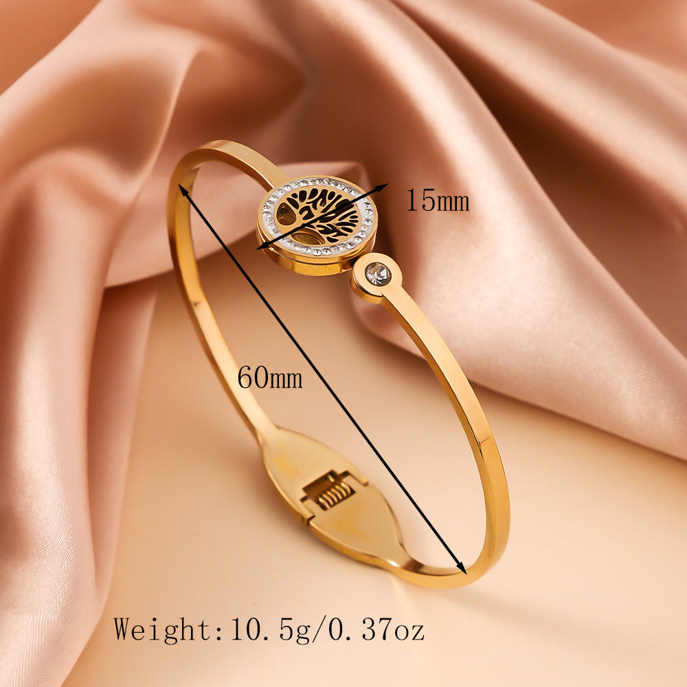 Wholesale New Style Titanium Steel Bracelet ACC-BT-Ruif013