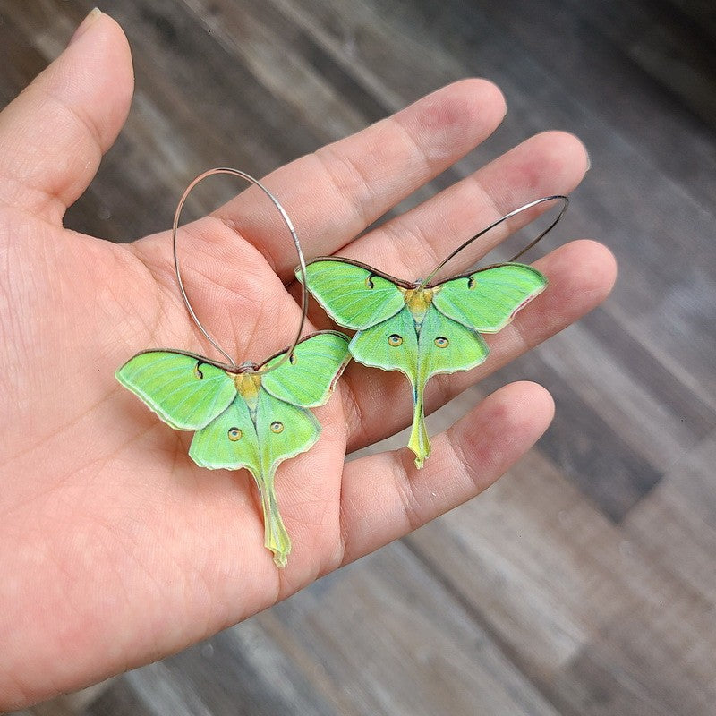 Wholesale  acrylic green butterfly moth earrings
