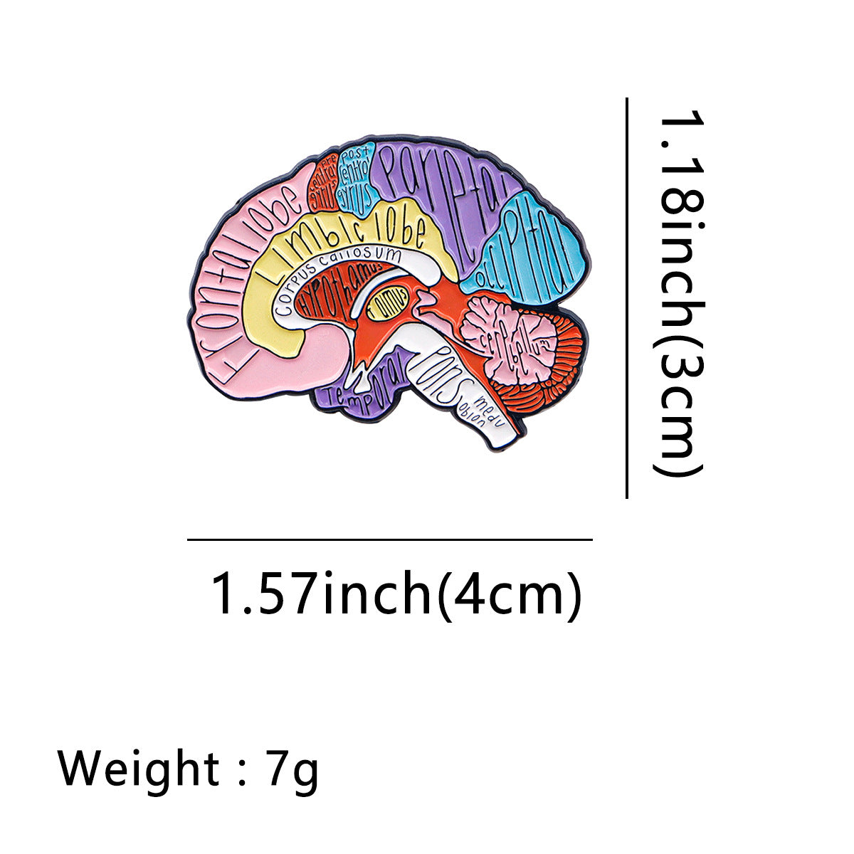 Wholesale Human Organ Lung Doctor Brooch