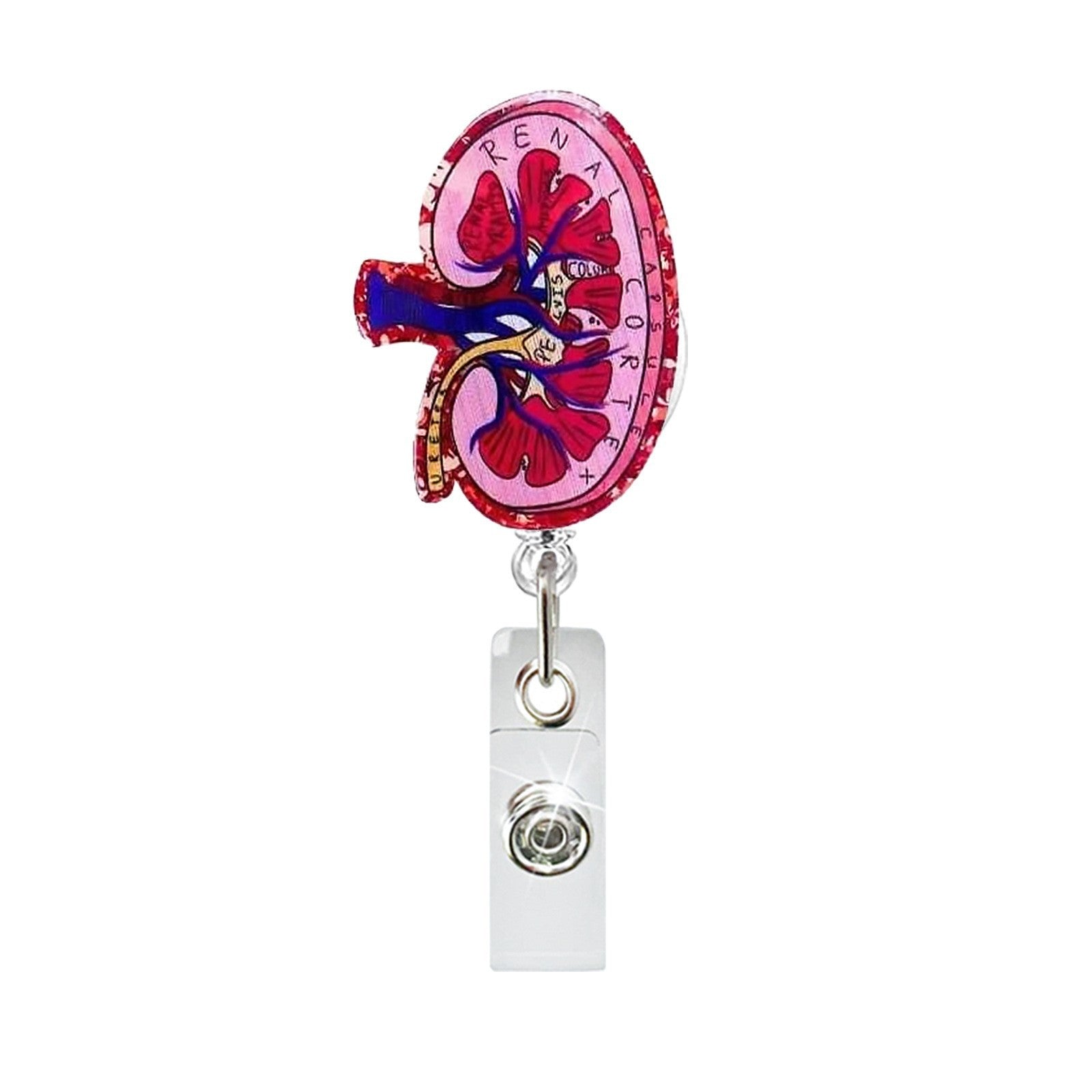 Wholesale Creative Heart and Lung Pattern Telescopic Clip Badge Holder ABS Plastic Easy-Pull Buckle Boutique Accessory