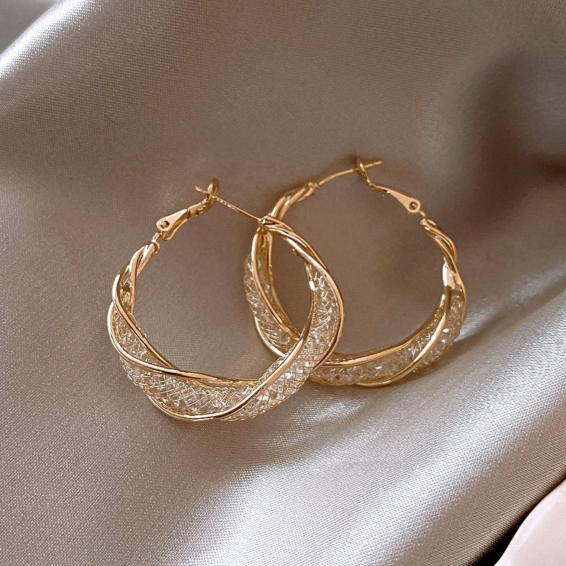 Wholesale 925 Silver Needle Earrings Exaggerated Earrings Statemente Earrings ACC-ES-Huiih003