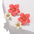 Wholesale Multicolor Double Flower Earrings