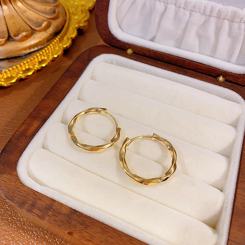 Wholesale light luxury hoop earrings