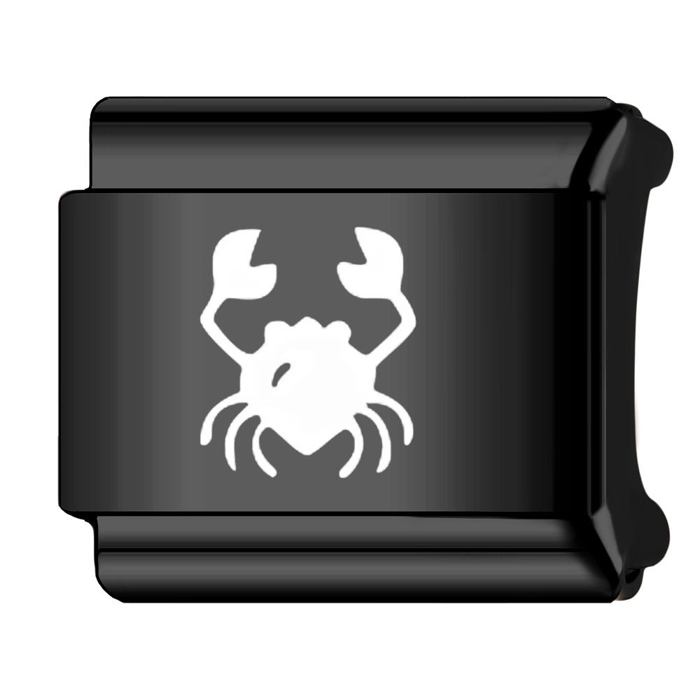 Wholesale Italian Charm Bracelet 9mm DIY Splicing Zodiac Series Stainless Steel Composable Bracelet