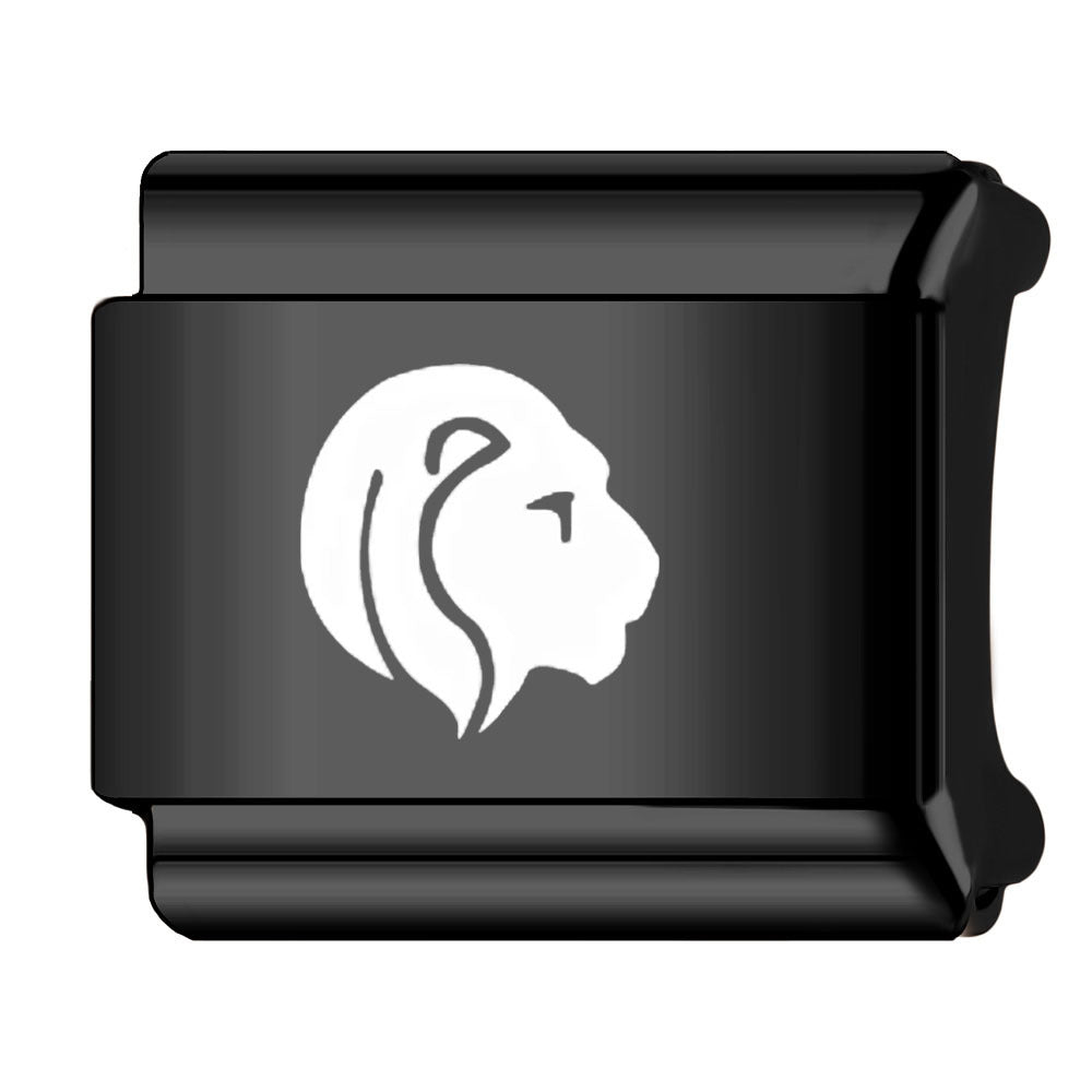 Wholesale Italian Charm Bracelet 9mm DIY Splicing Zodiac Series Stainless Steel Composable Bracelet